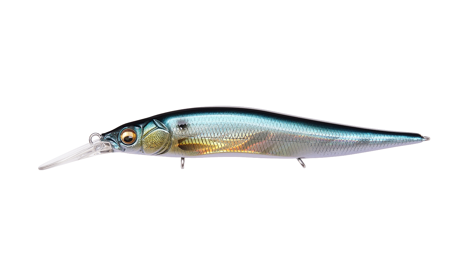 GG Threadfin Shad