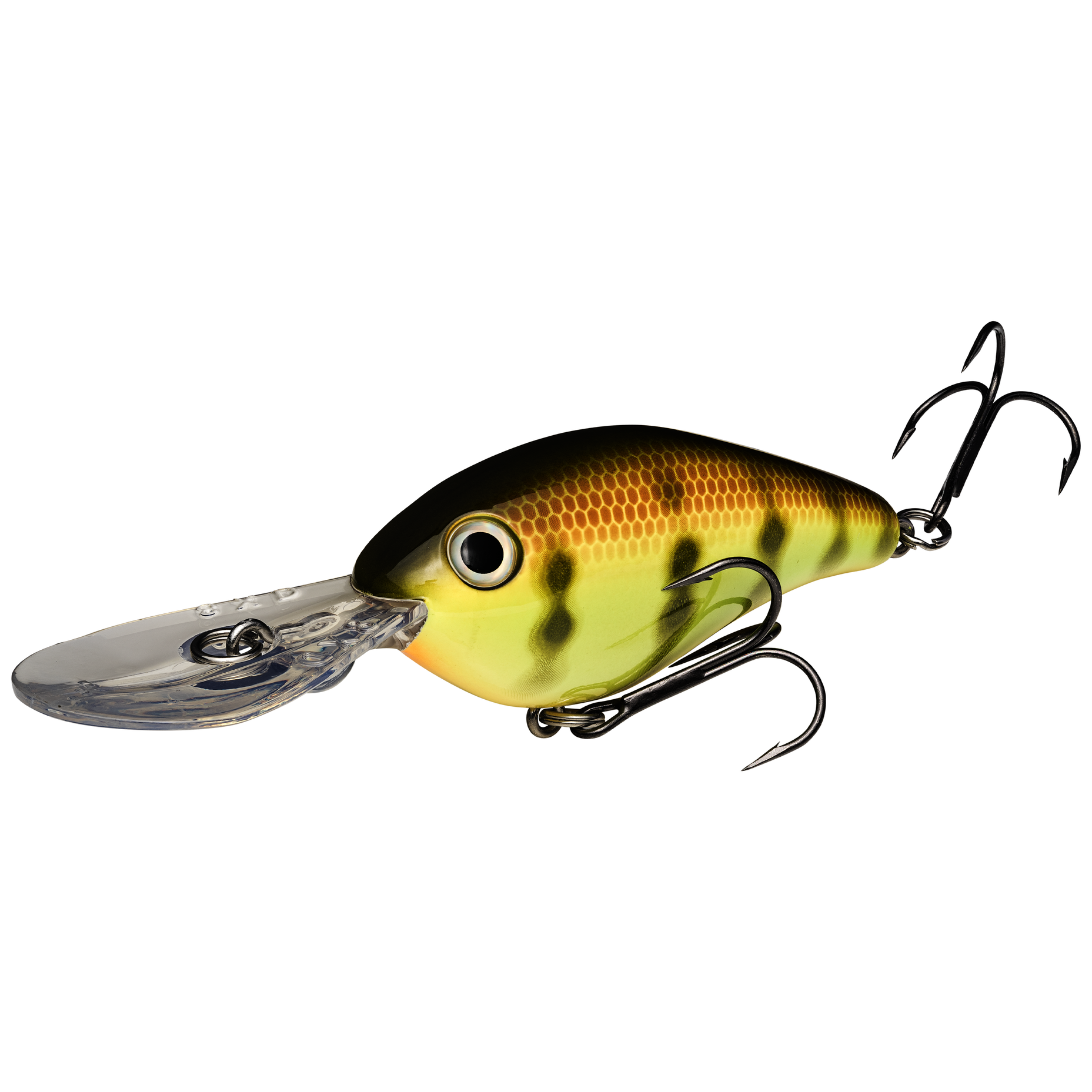 Chartreuse Perch