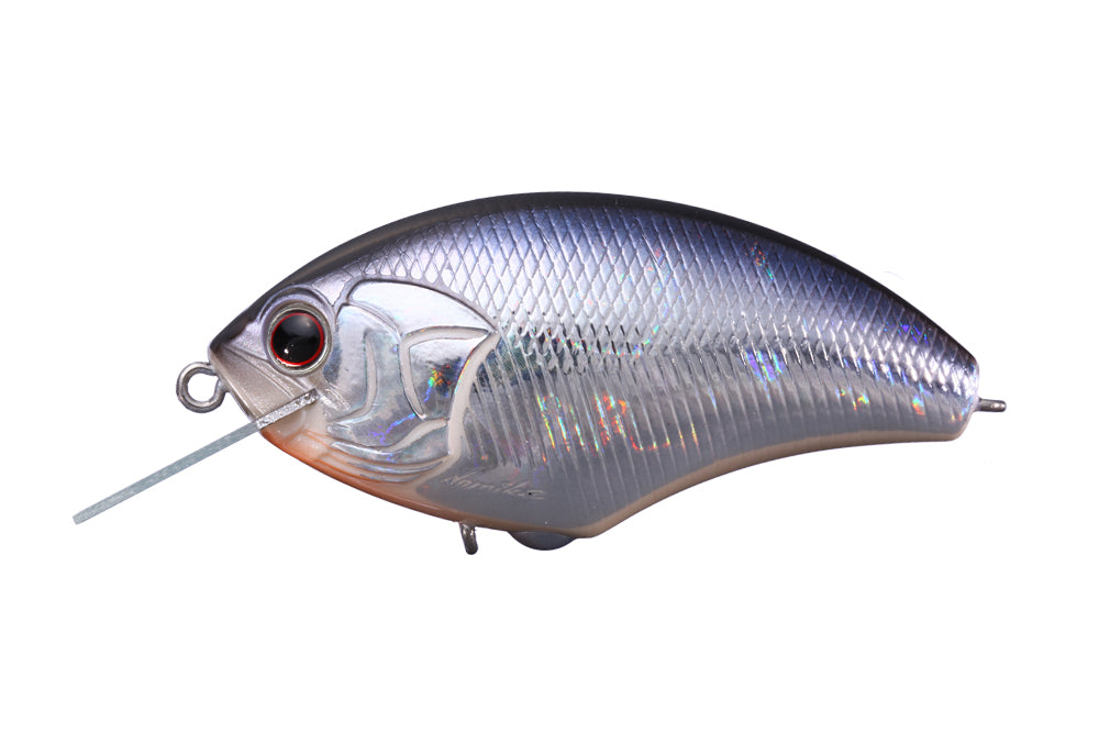 Crystal Blue Shiner