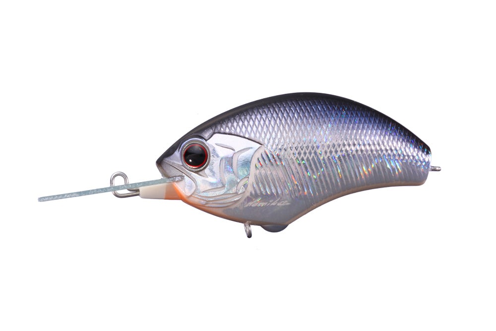 Crystal Blue Shiner H-09