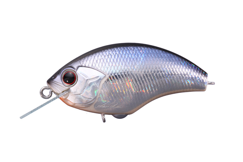 Crystal Blue Shiner H09