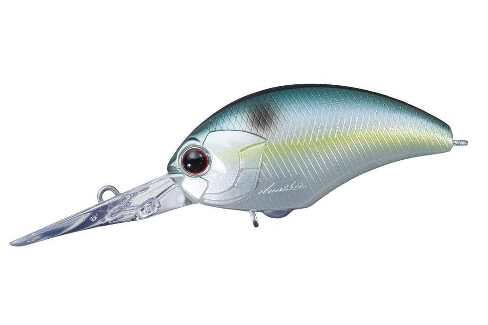 Blueback Herring OL21