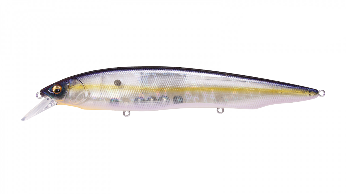 GP Megabass Sexy Shad