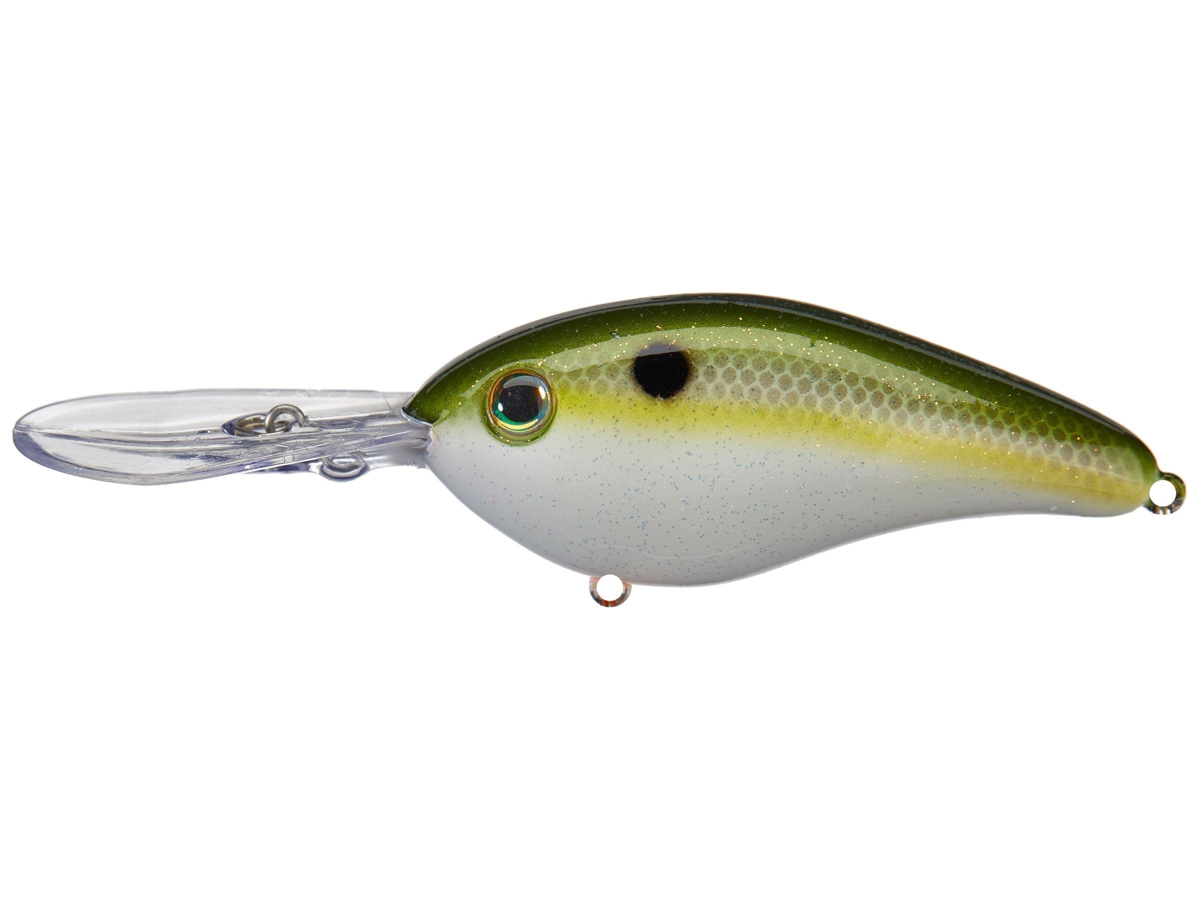 Olive Shad