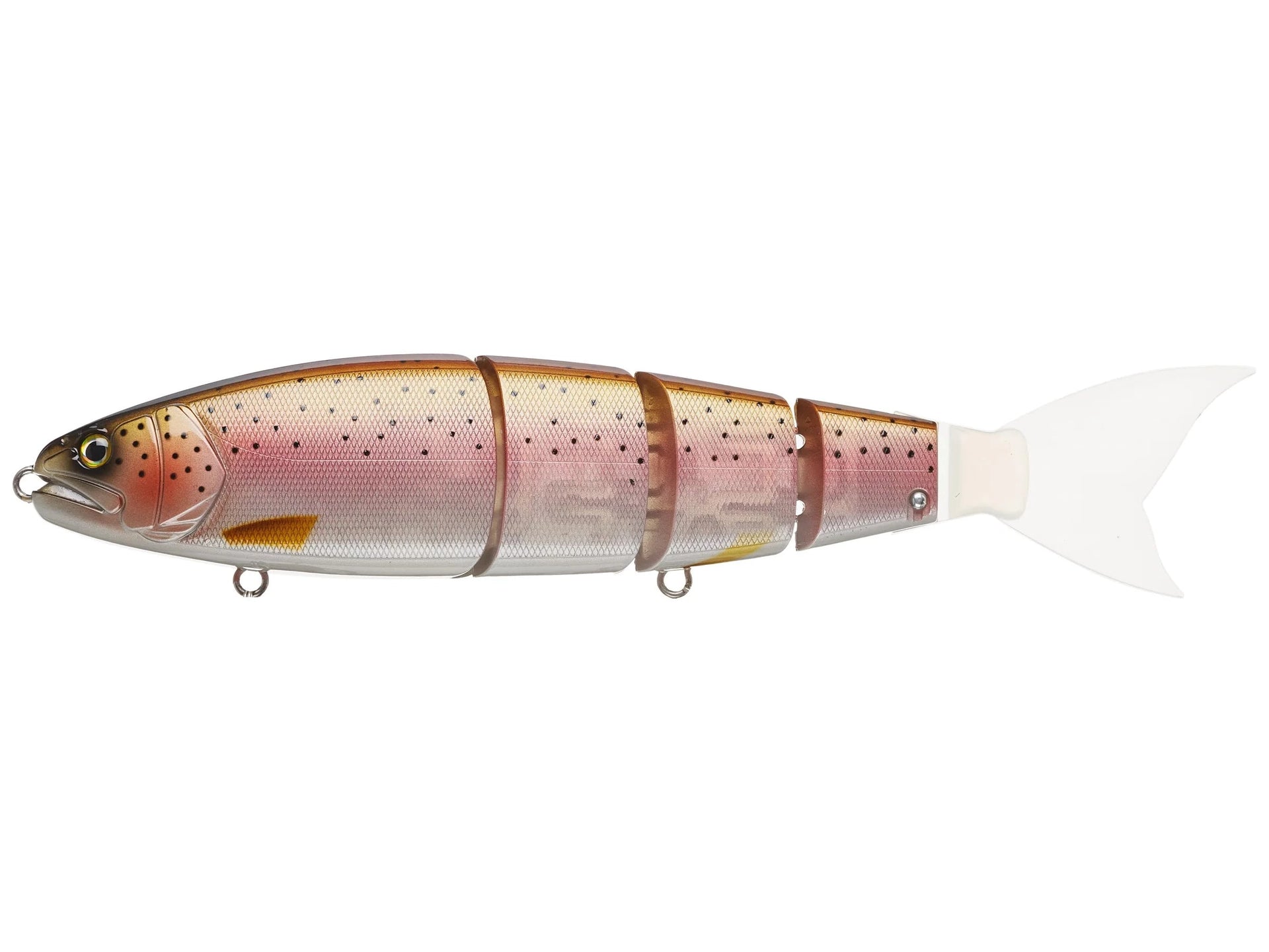 rs-2023-04-19T142510.290.webp?