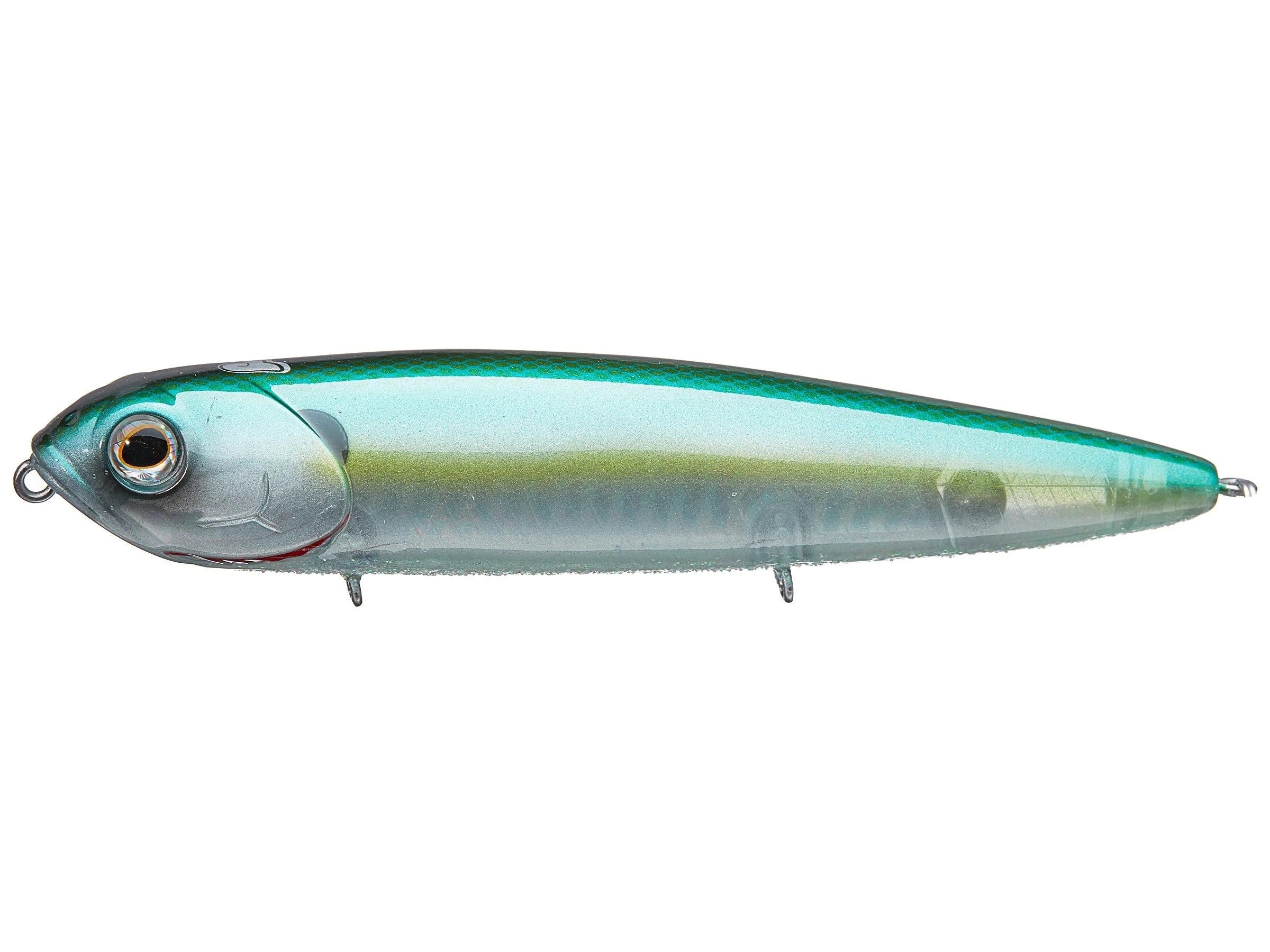 Chartreuse Shad