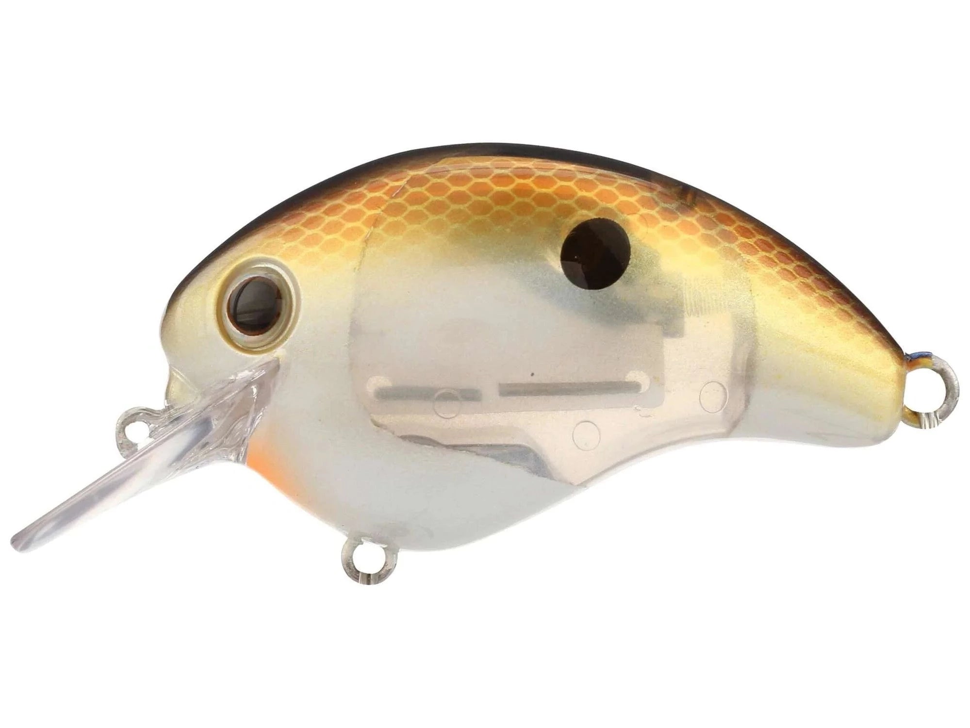 Sexy G Shad