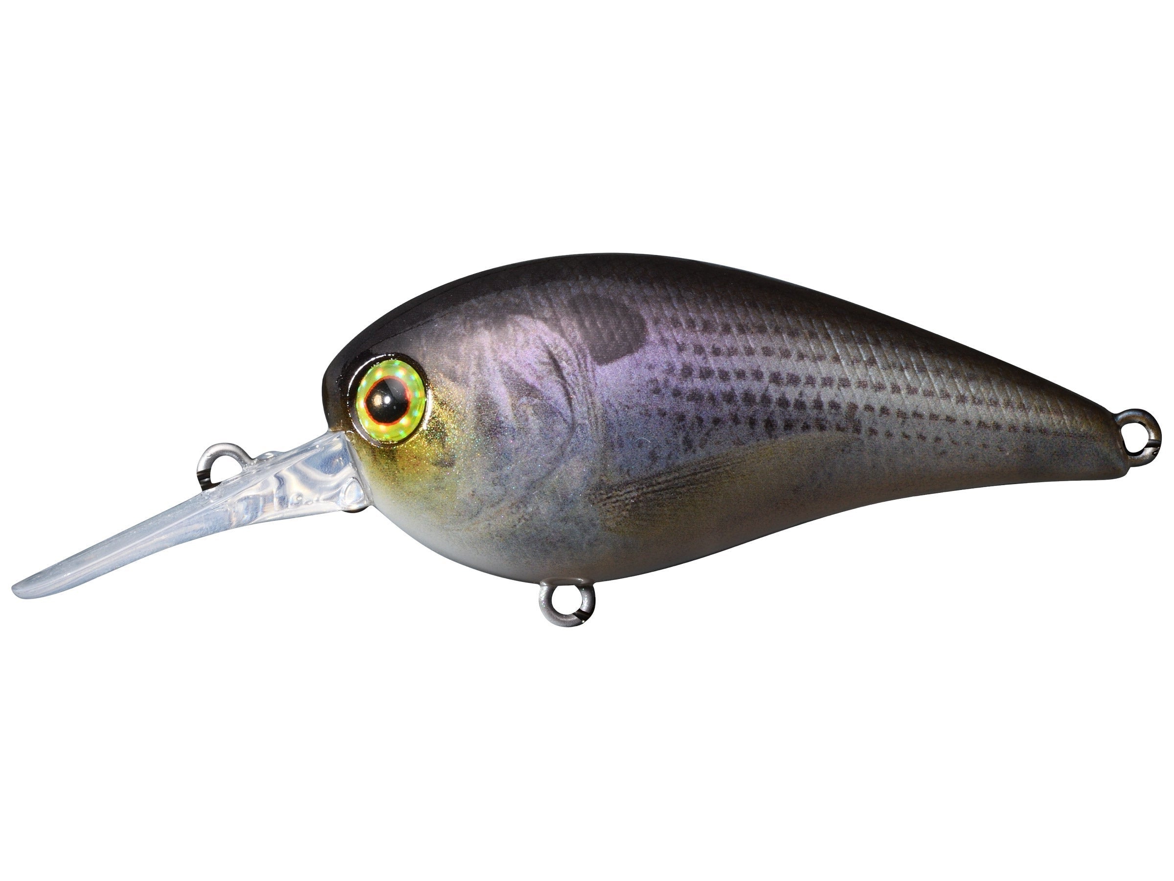 RT Super Shad