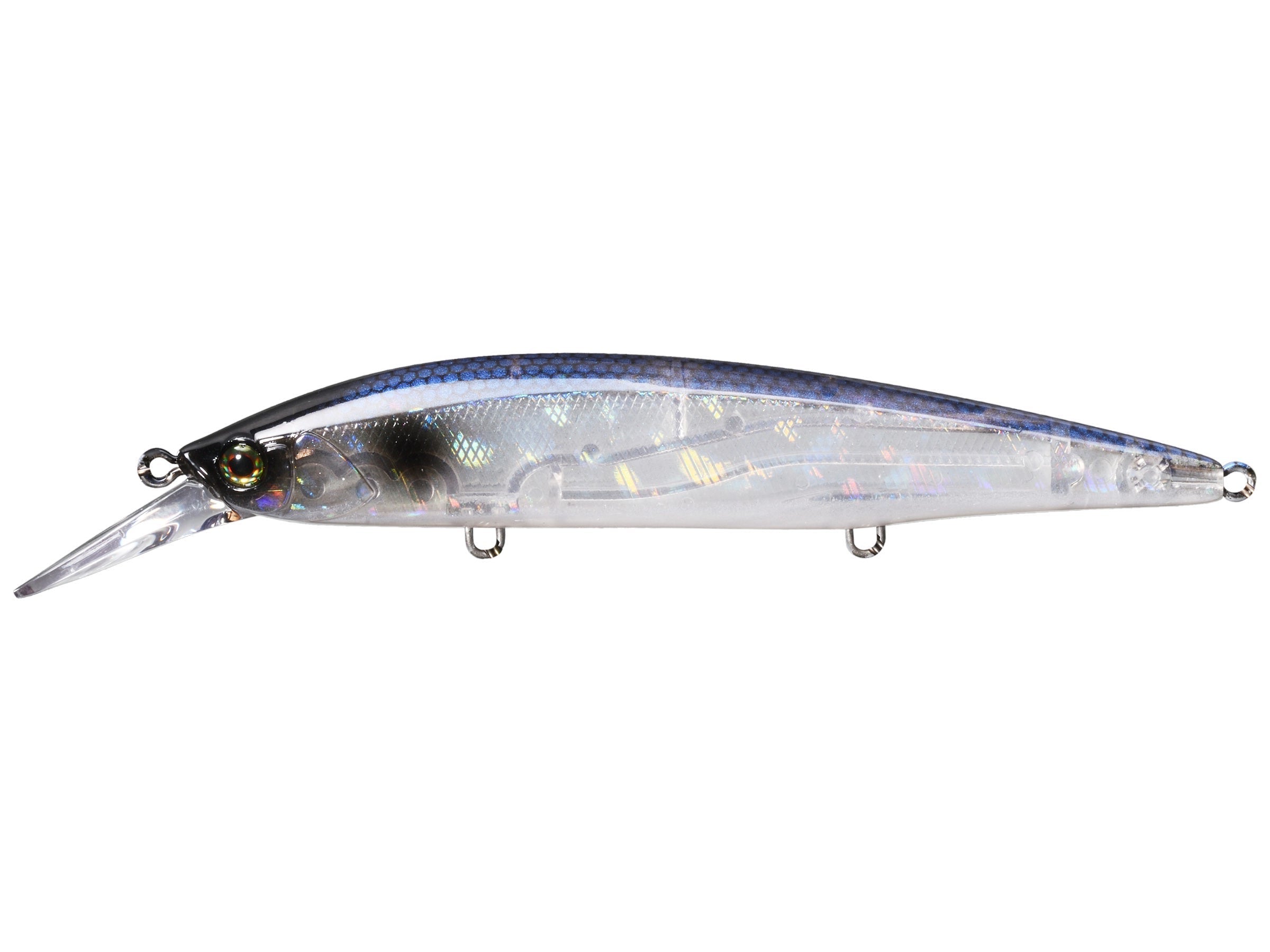 Blue Pearl Shad