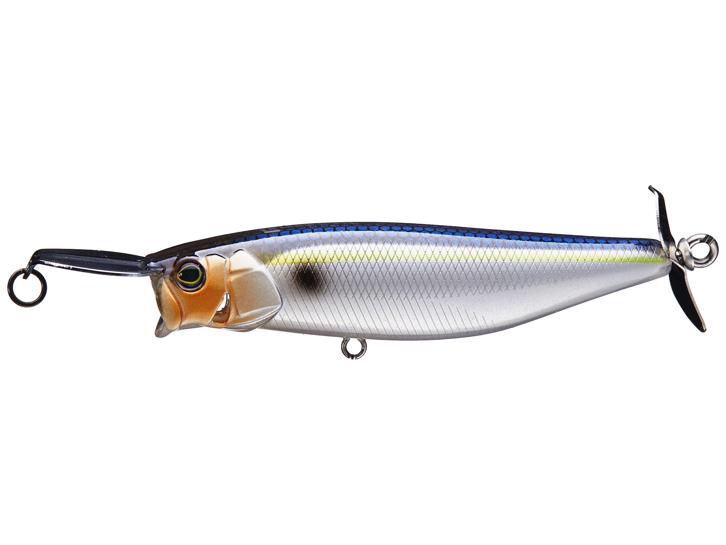 SG Threadfin Shad