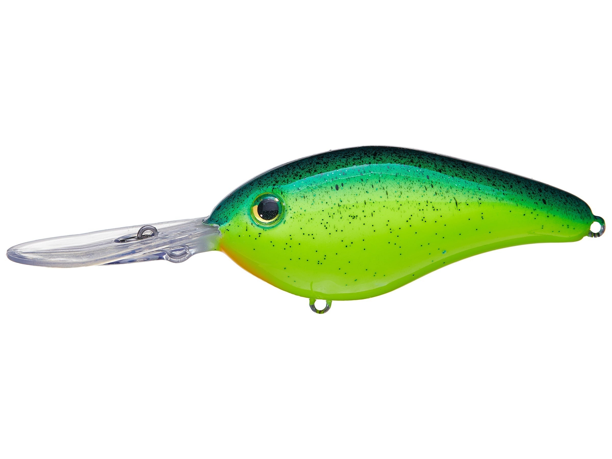 Chartreuse Blue Back/ Splatterback