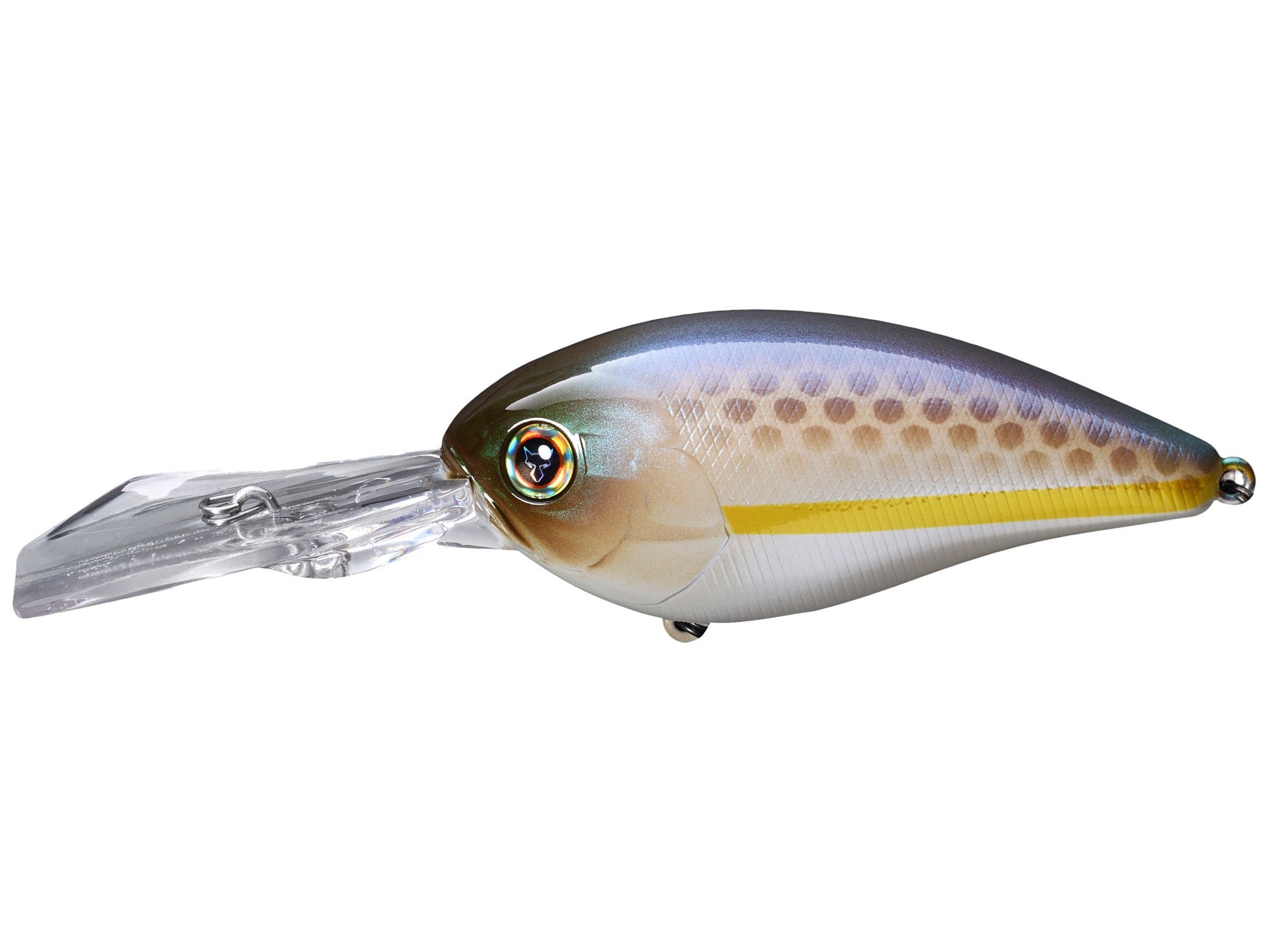 Chartreuse Shad