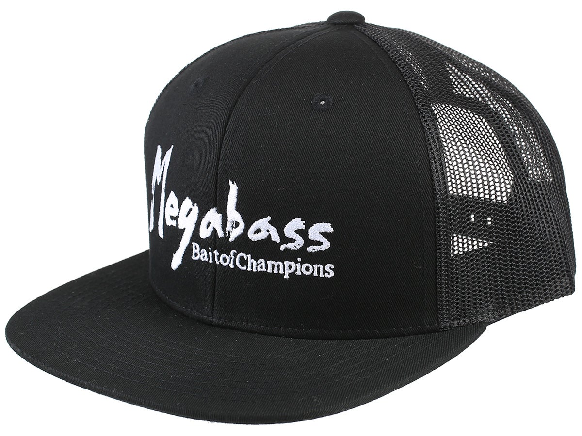 Brush Snapback Back/White