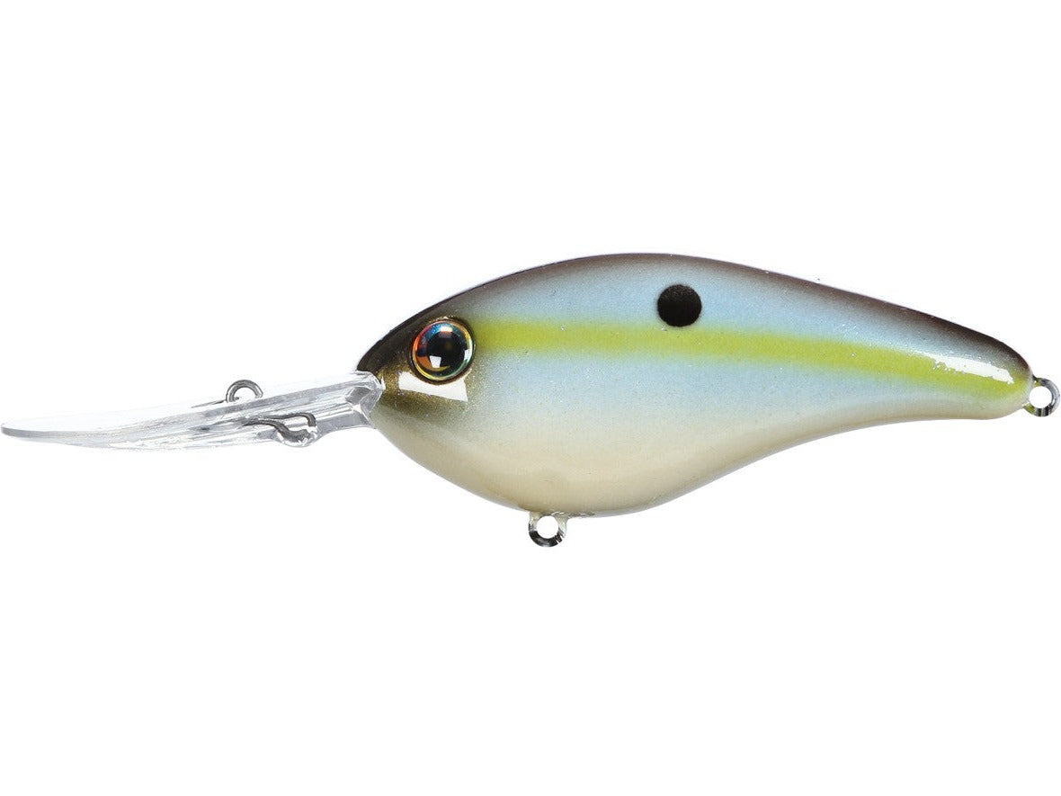 Summer Sexy Shad