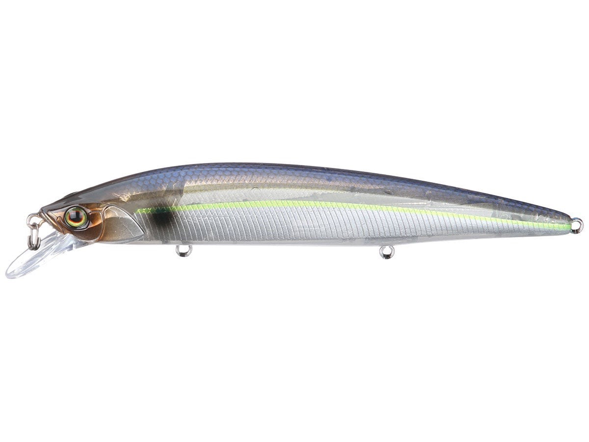 SG Threadfin Shad